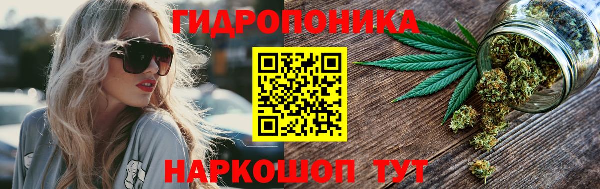 Лянтор  Конопля планчик  Вход с VPN  Канабис OG Kush  Марихуана Bruce Banner 